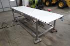 Transfer Conveyor